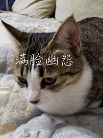 標(biāo)題被九兒炸了，被四月吃了，被八兩用軟仙散迷暈了