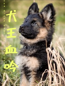 犬王血吟
