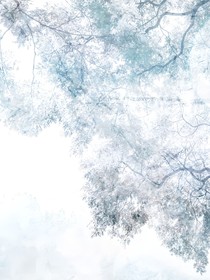 虚假的婚姻