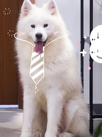 院人：生前记忆