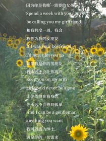 沉沦至此，无可自拔