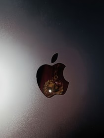 灰喜传承红色精神奉献民族精神