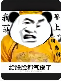 我一特警上你大坝的恋综