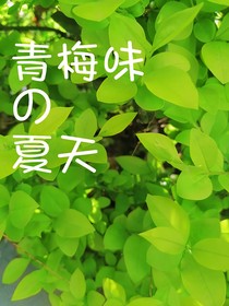 青梅色的夏天