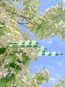 一見(jiàn)成敵和一見(jiàn)鐘情