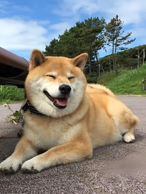 记忆播放器