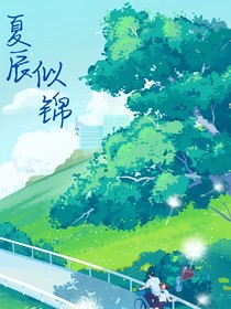 夏辰似锦