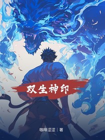 双生神印