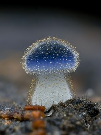 小满历险记