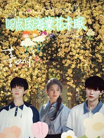 四点的海棠花未眠