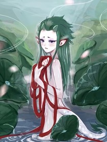 藕饼：上美版