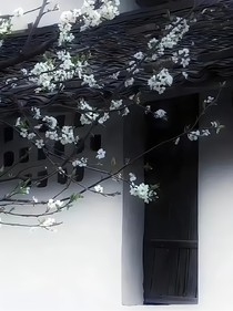 卡莱：春来时
