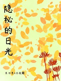 隐秘的日光