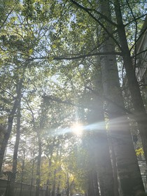 夏风与少年时
