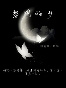 黎明的梦双林版