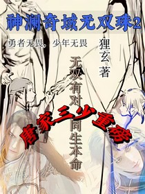 神澜奇域无双珠2