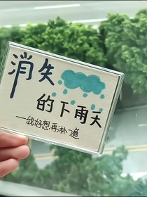 望雨声