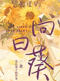 背光里的向日葵