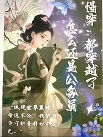 慢穿：都穿越了怎么还是公务员