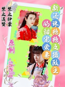 新还珠格格之摄政王的甜宠爱妃
