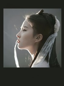 九州缥缈录：折翅