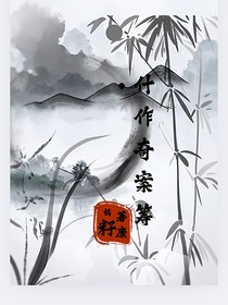 什作奇案籌