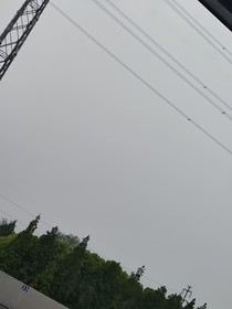 灵气复苏：新纪元
