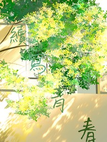 青春续篇