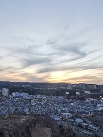 向阳彼岸