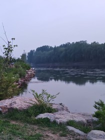 爱唯清韵bb