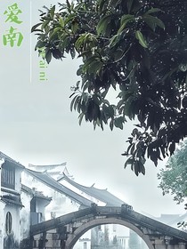 愛(ài)南