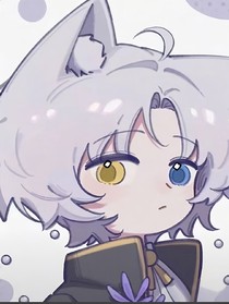 玩着骰子的白色小猫