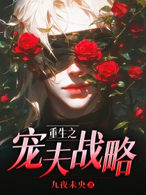 重生之宠夫战略