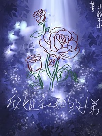 他的大小姐和她的小弟