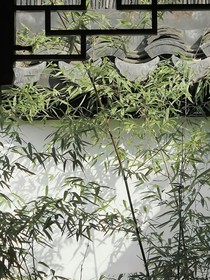 散魂污