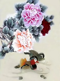 鸳鸯记