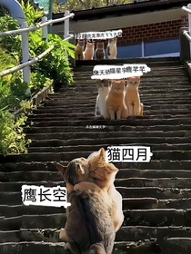 月空瞳傳（奇喵宇宙——四月長(zhǎng)空四月羚瞳）