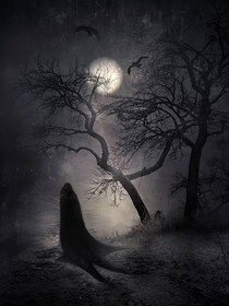 雨夜迷案