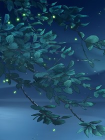 余晖与你极航