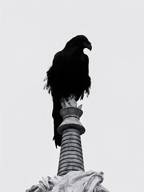 熱血街區(qū)：飛舞的死亡之鳥