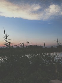 后排生
