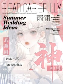 武魂殿之雨翎神弓