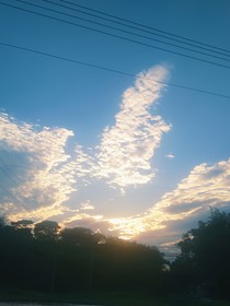 枯木逢春的一人