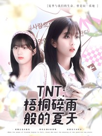 TNT：梧桐碎雨般的夏天