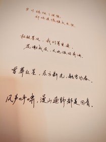 西伯利亚铁路终章