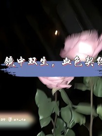 镜中双生，血色契约