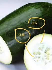 燕遇十六叔