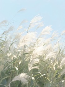 风吟芦苇