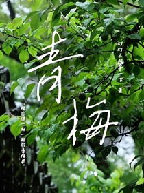 祺鑫：青梅煎茶
