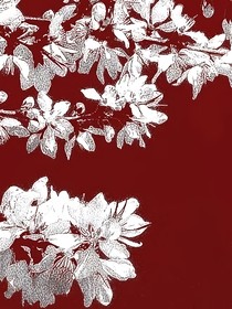 網(wǎng)王：攻略王子們的戀愛(ài)史